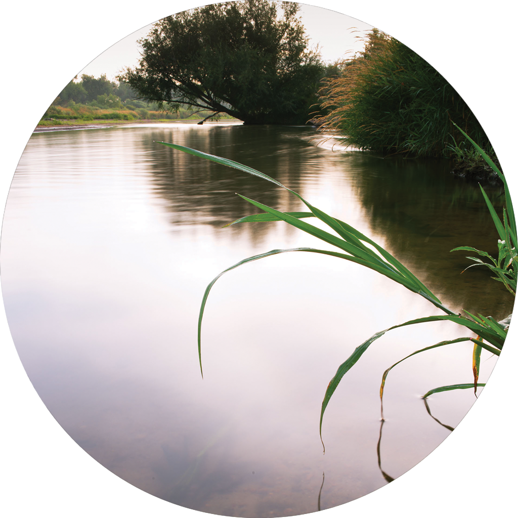Colorado River Scene